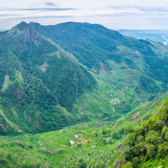 The World's End viewpoint is the biggest landmark of the Horton Plains National park, Sri Lanka