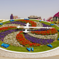 bright floral clock in the Miracle Garden in Dubai
