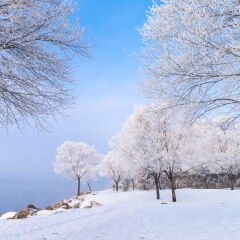 吉林市松花湖雾凇岛
