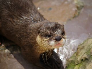 和歌山冒险世界