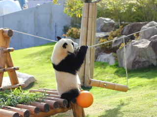 和歌山冒险世界