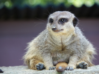 和歌山冒险世界