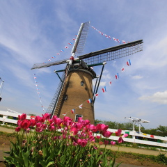 Furusato village, Sakuraya in Japan