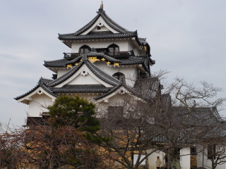 彦根城