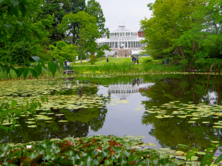 剑桥大学植物园