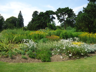 剑桥大学植物园