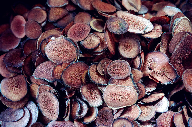 【途牛首发】#我的小长假#一路慢行去寻北:漠河北极村游记