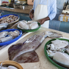Fish market in the city of Fujairah. United Arab Emirates, Middle East