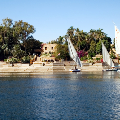 Sightseeing boat and feluccas anchor at the bank of the Nile River. In the background there is the Aswan Botanical Garden.