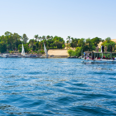 Many tourist boats and feluccas sail to the Kitchener's island with the famous Botanical garden, Aswan, Egypt.