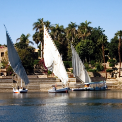 Sightseeing boat and feluccas anchor at the bank of the Nile River. In the background there is the Aswan Botanical Garden.