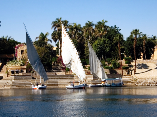 阿斯旺植物园岛