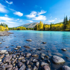 喀纳斯河 景点模块