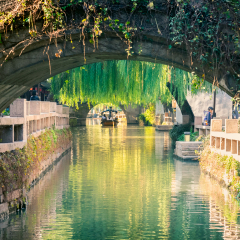 景点模块 