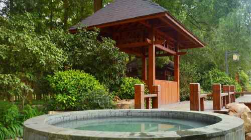 应城汤池温泉养生休闲1日游 含旅游意外险,休