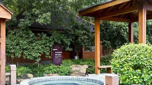 应城汤池温泉养生休闲1日游 含旅游意外险,休