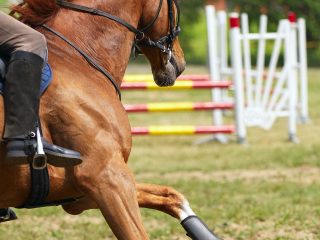 101休闲观光骑马场