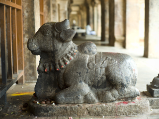 坦贾武尔布里哈迪斯瓦拉神庙图片