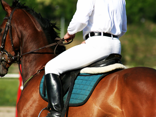 101休闲观光骑马场