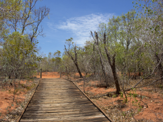 布鲁姆鸟类观察站