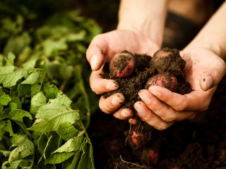 安溪尤俊农耕文化园