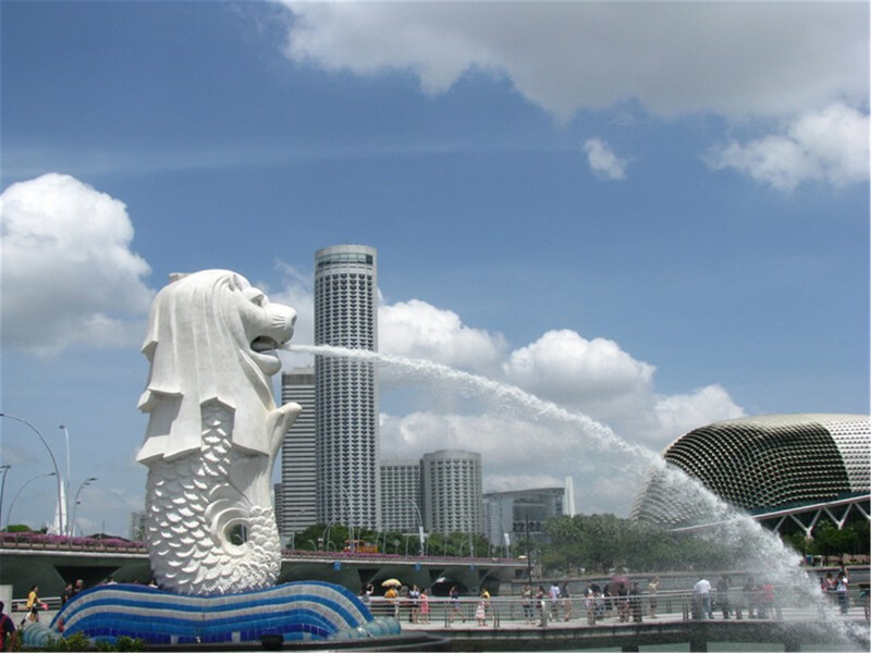 从"新"发现——邂逅鱼尾狮