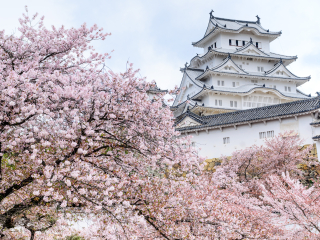 姬路城