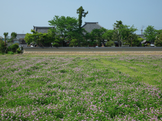 飞鸟寺