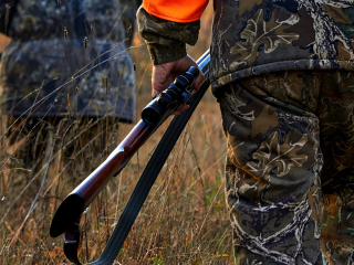 拜城县国际狩猎场