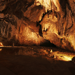 cave with many stalagmites and stalactites in Punkevni cave, czech republic