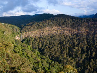 巴陵顿山顶国家公园