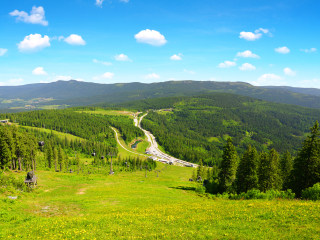 巴伐利亚森林国家公园