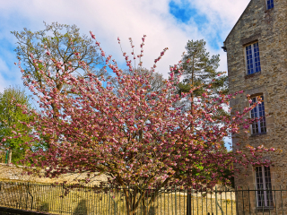 巴约挂毯博物馆