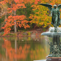 Fall at Bethesda Fountain in Central Park. New York City