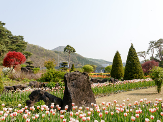 碧草池文化树木园