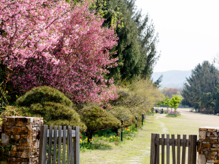 碧草池文化树木园