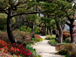 碧草池文化树木园