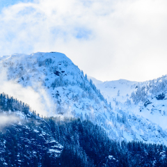 Rocky Mountains. Coastal Mountains. Omega Mountain in Brackendale Eagles Provincial Park. British Columbia. Canada.