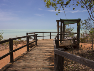 布鲁姆鸟类观察站