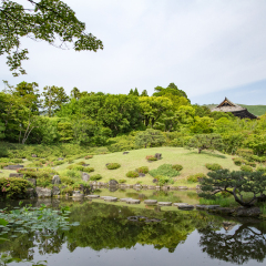 Nara Isuien,Japnese garden
