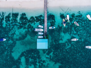 毛里求斯自然史博物馆