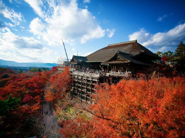 日本大阪-富士山-东京-奈良-本州精华6天5晚游
