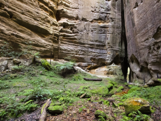 卡纳封国家公园