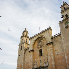 A church in Merida, Mexico with pigeons