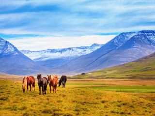 雷克雅未克大教堂