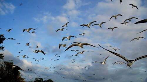 免签海岛美国塞班4晚5日游|川航直飞|世界度假