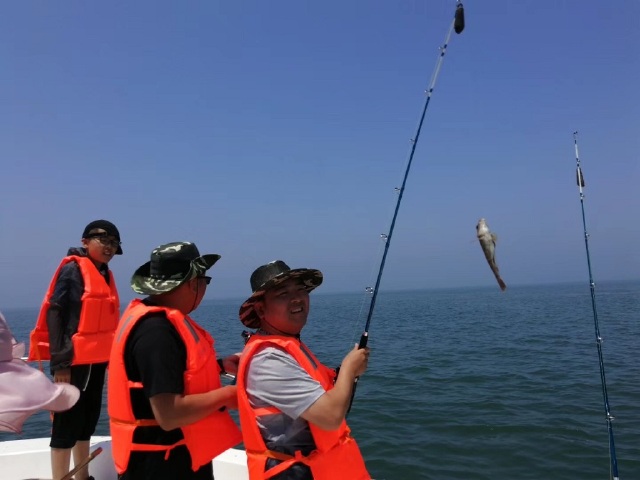 大连旅顺金石滩棒棰岛双飞5日游繁华地段高档酒店4晚渔船出海嬉戏海鸥