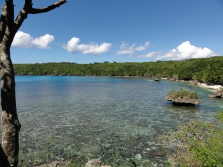 塔哥海滩