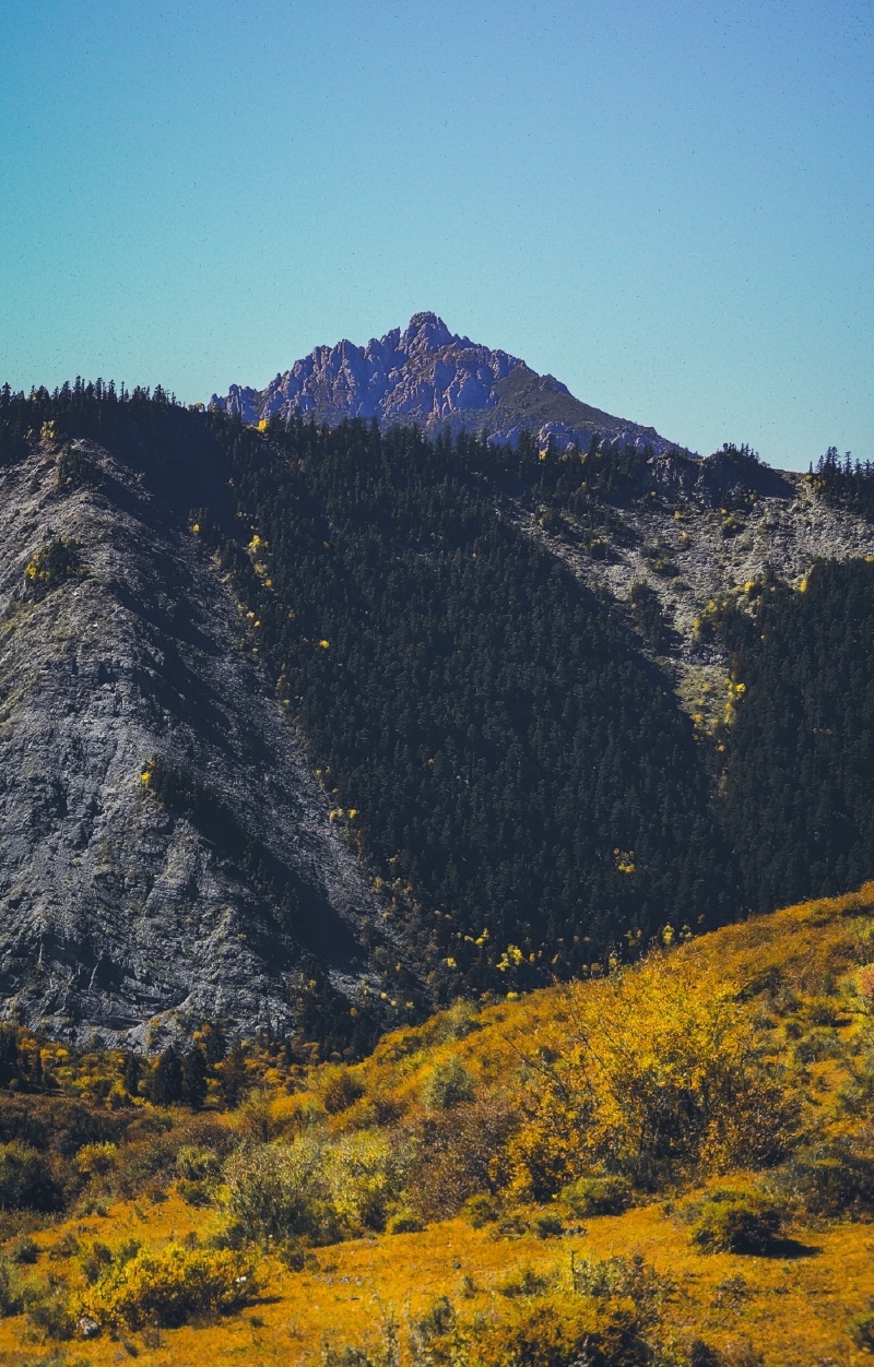 【独家】粗旷的遗落之境,这里不缺的是满含力道的西部片