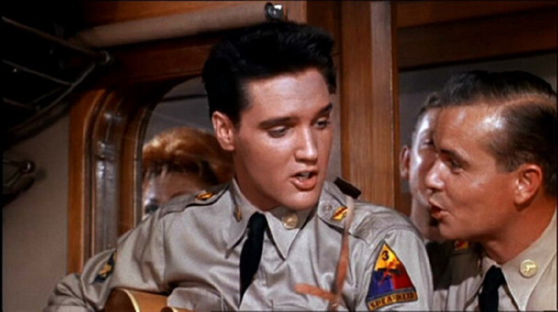 雅园归来话猫王